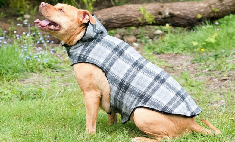 Free dog coat sewing patterns