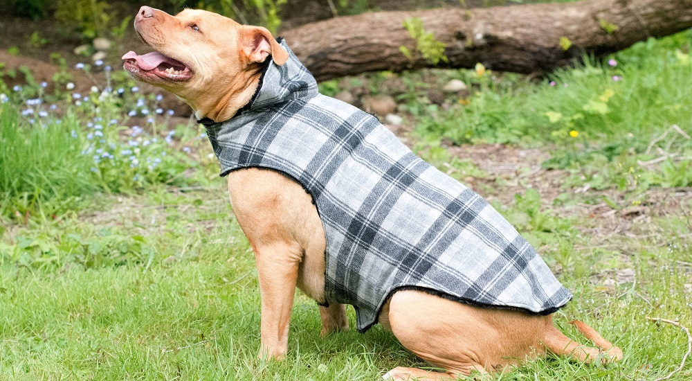 13 Free Dog Coat Sewing Patterns To, Dog Trench Coat Costume Pattern