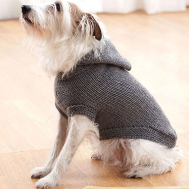 dog sweater knitting patterns