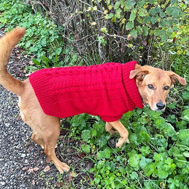 dog sweater knitting patterns