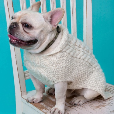 dog sweater knitting patterns