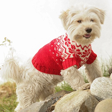 dog sweater knitting patterns