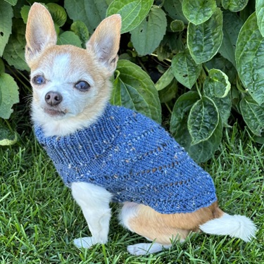 dog sweater knitting patterns