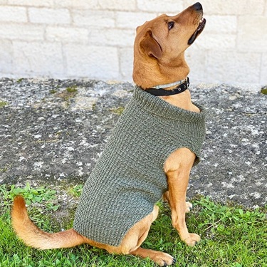 dog sweater knitting patterns