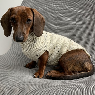 dog sweater knitting patterns