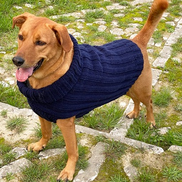 dog sweater knitting patterns