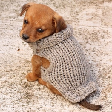 dog sweater knitting patterns