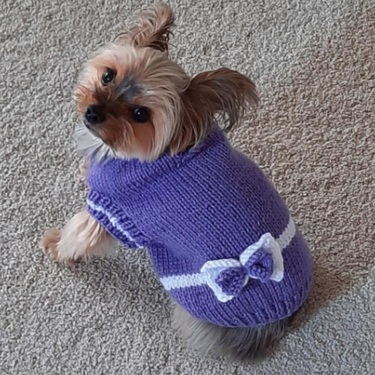 dog sweater knitting patterns