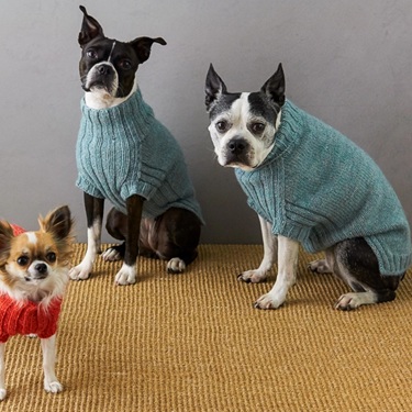 dog sweater knitting patterns